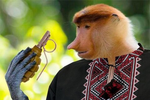 Изображение взято с сайта https://nightbomber-y2.livejournal.com/27836.html (надеюсь, автор на меня не обидится)