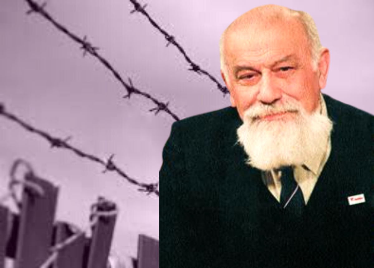 Немцы звали их "хиви", а красноармейцы по ошибке считали "власовцами ...