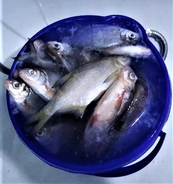 листайте фото