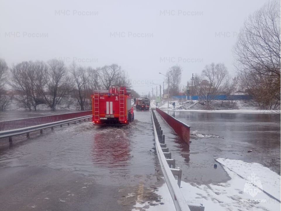     Фото: ГУ МЧС России по Орловской области