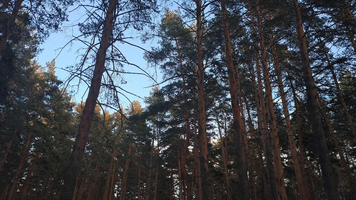 Арамильский парк