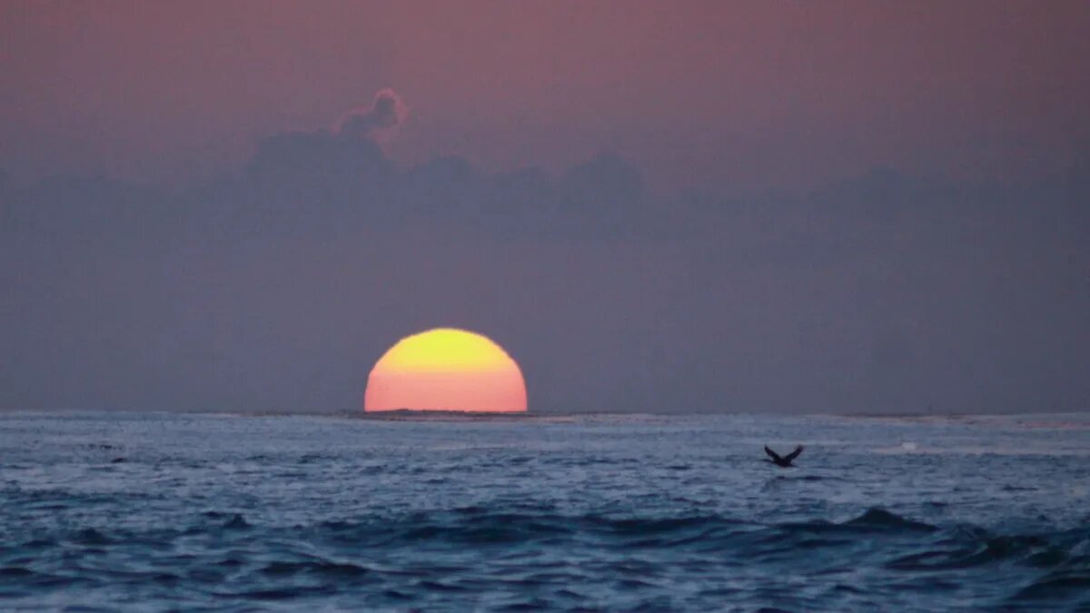 Магнитные бури на конец недели и яростные атаки в марте. Фото: www.piqsels.com