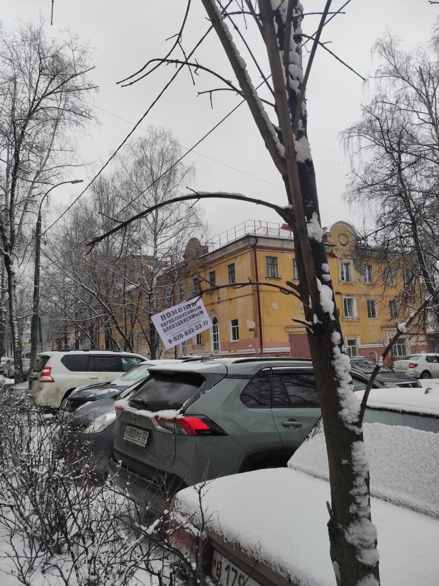    В центре Брянска появятся 2 бесплатные парковки — на футбольном корте по улице Трудовой и на проспекте Ленина avchernov