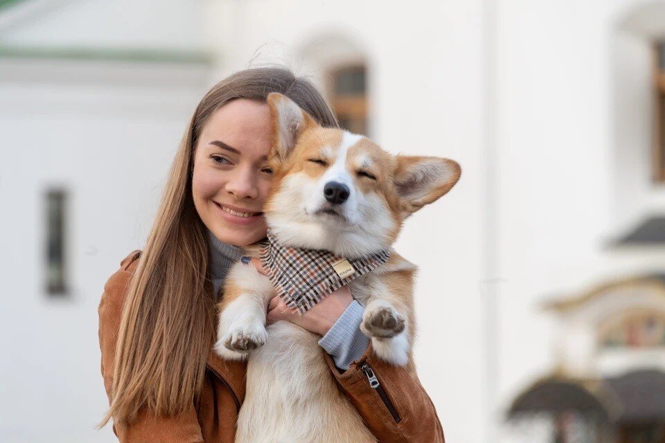     Около двух тысяч идей по развитию инфраструктуры для животных предложили участники проекта «Питомцы в Москве» Михаил ФРОЛОВ