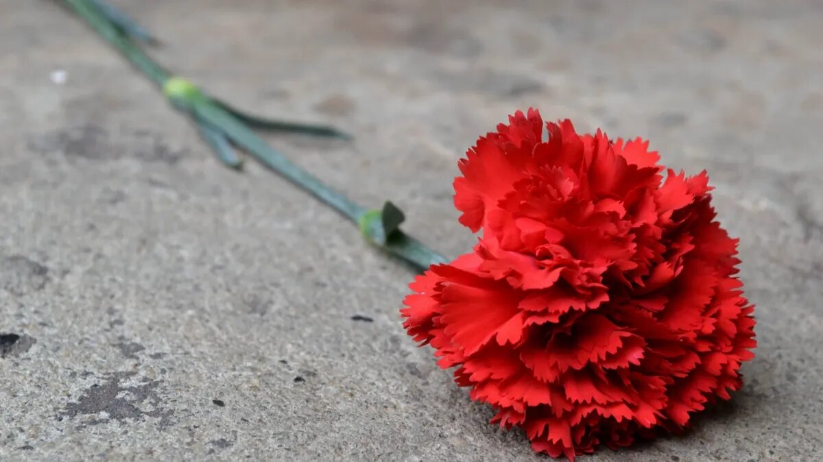 При поминовении соблюдаются все традиции православной церкви. Фото: pxhere.com