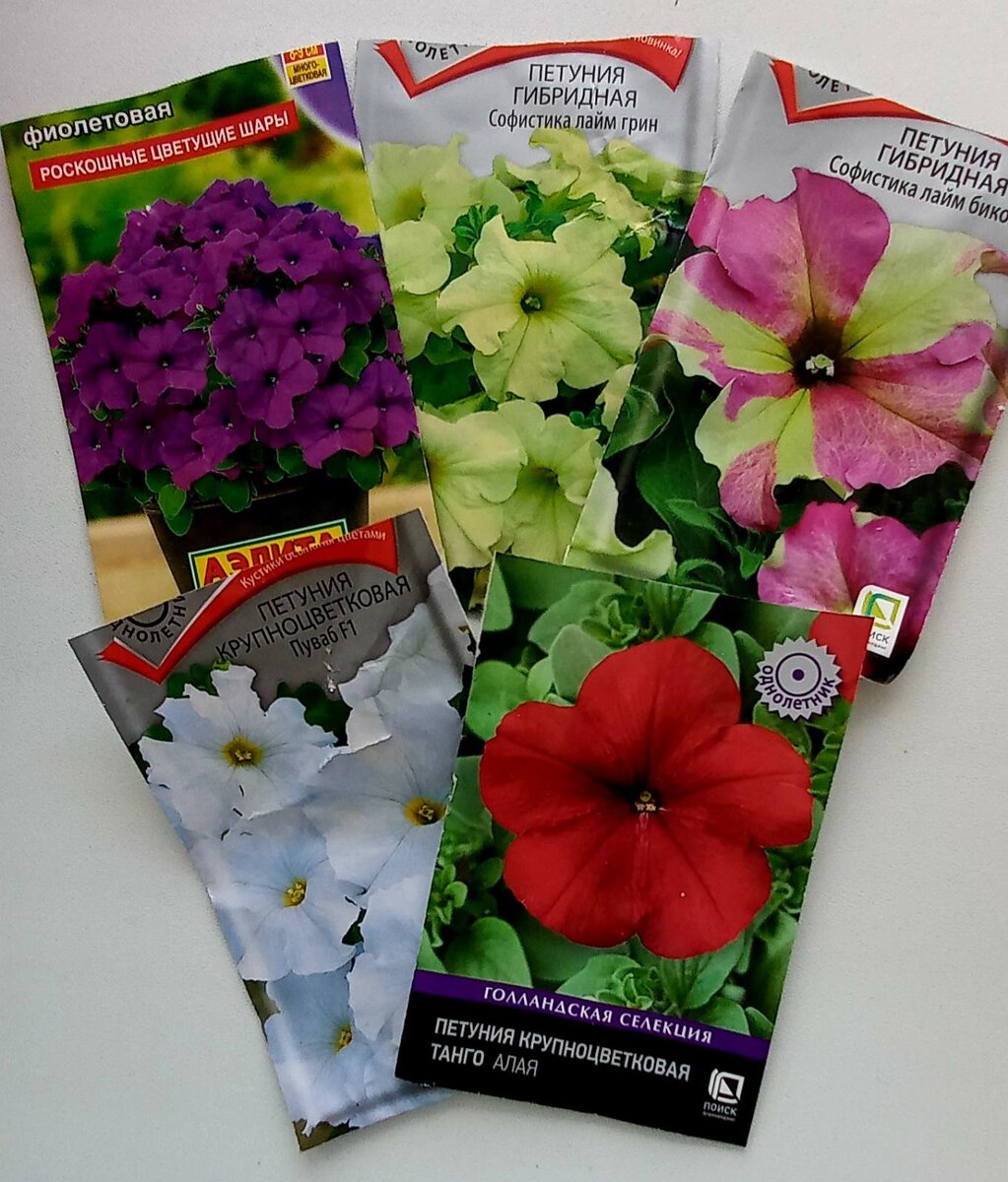 Сорта, выбранные для посадки.