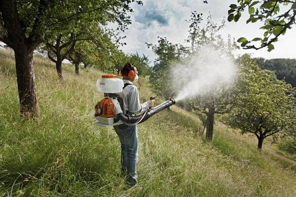 Взято из общего доступа