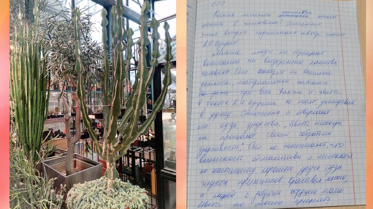Сочинения школьников про любимое растение.