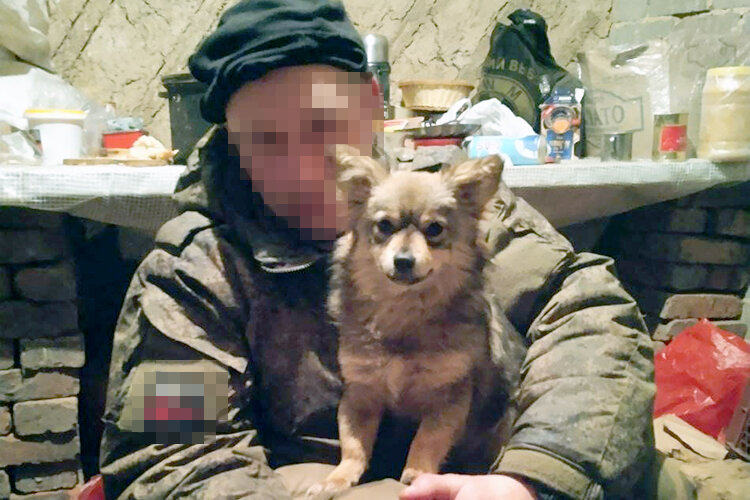    Вместе с бойцами собака проехала по всей линии фронта: Херсонская область, Запорожье, ЛНР, ДНР. На боевые задачи животное не брали. Но за ней постоянно кто-то присматривал, пока хозяина не было на месте. А когда тот возвращался, то брал ее на руки и проводил время с Муськой Фото предоставлено источником