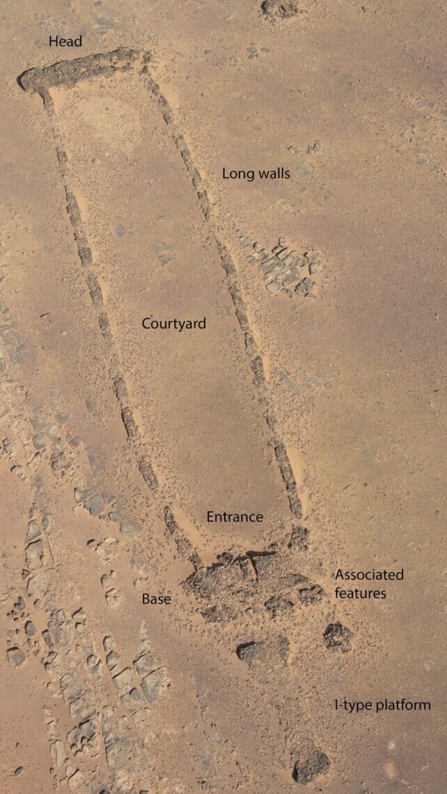    Снимок раскопанного мустатилаKennedy et al., PLOS ONE, 2023