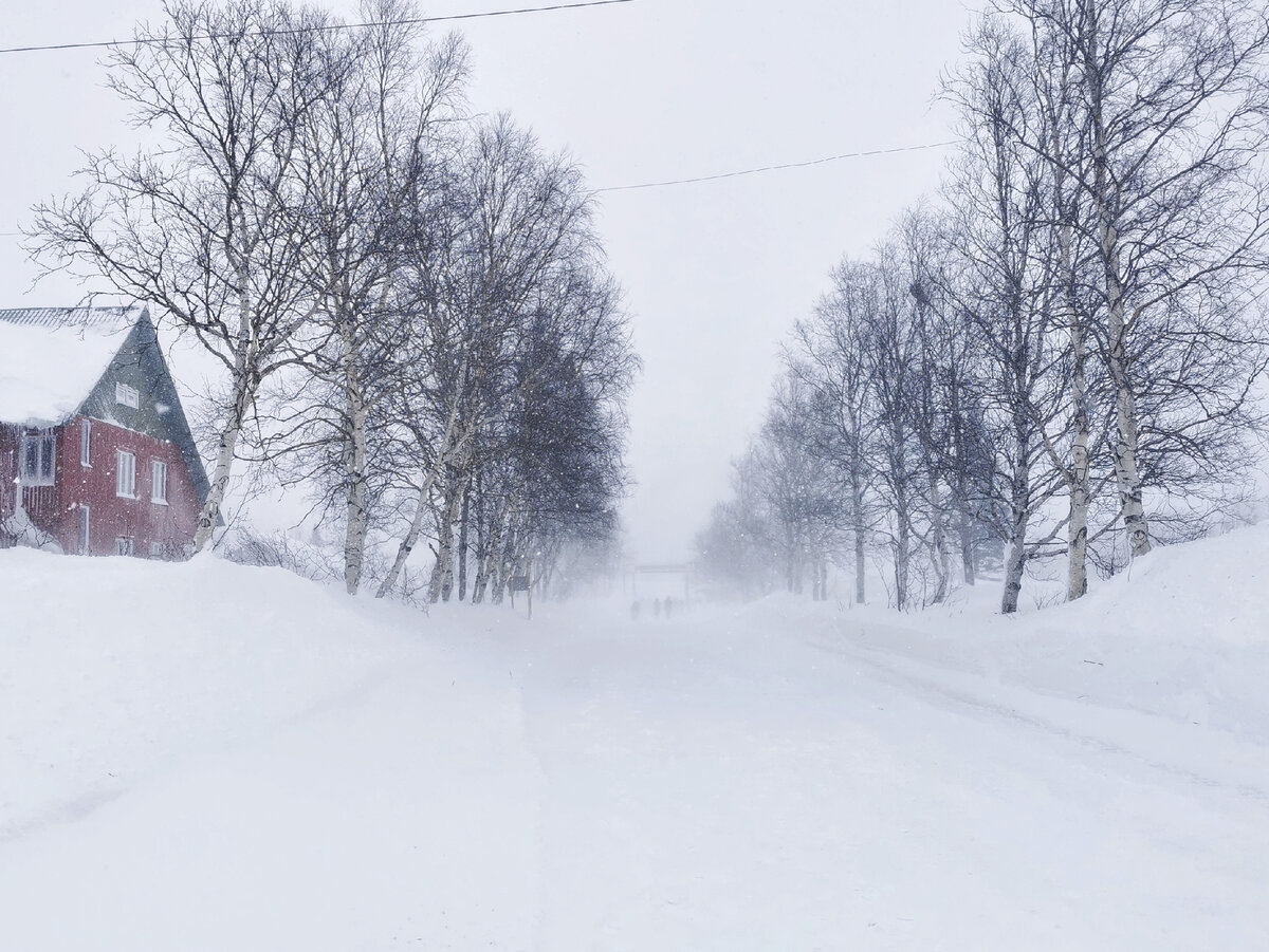 В здании на фото - касса ботанического сада и небольшой музей