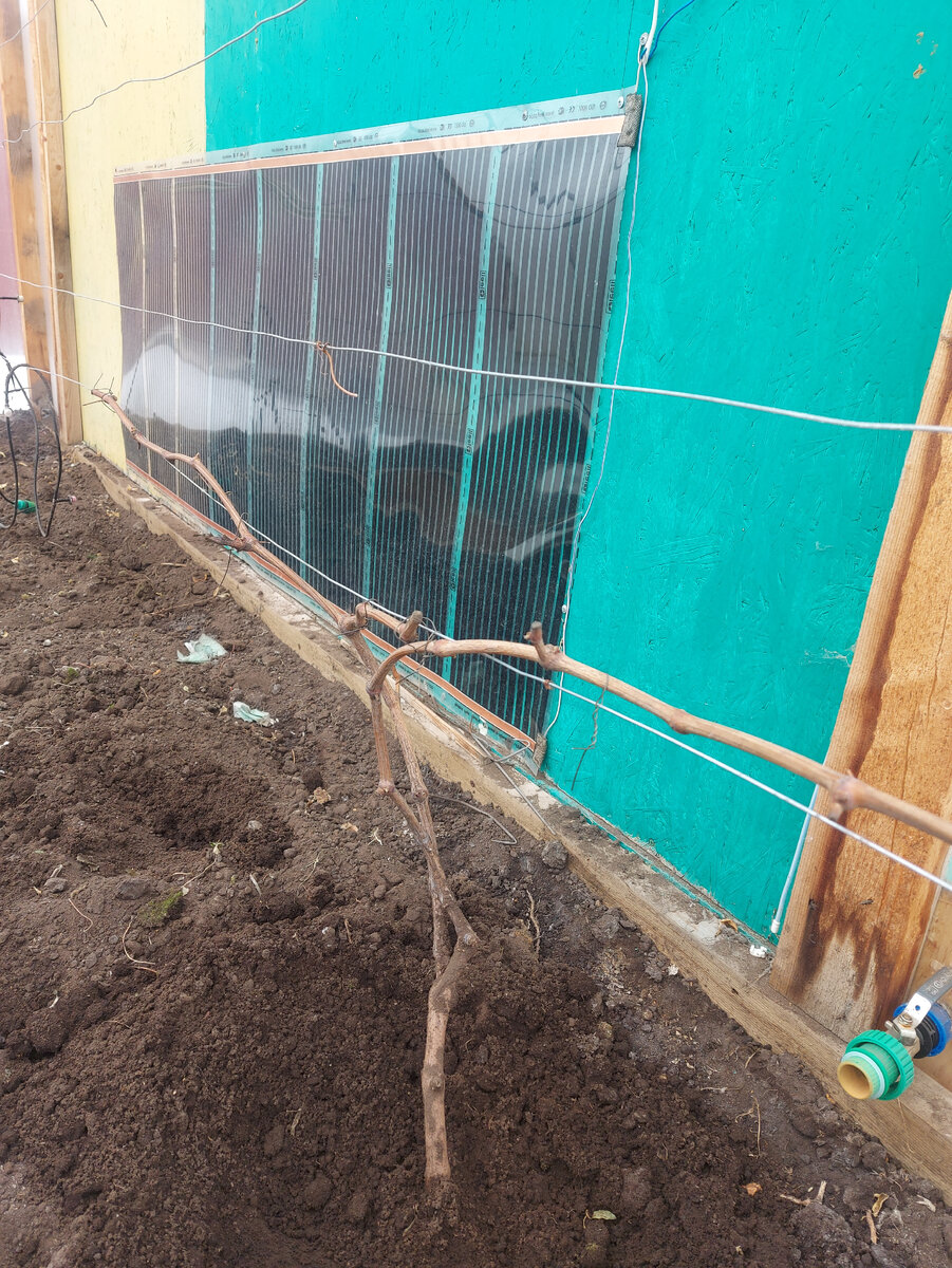 Инфракрасный обогреватель в малой теплице на стене.