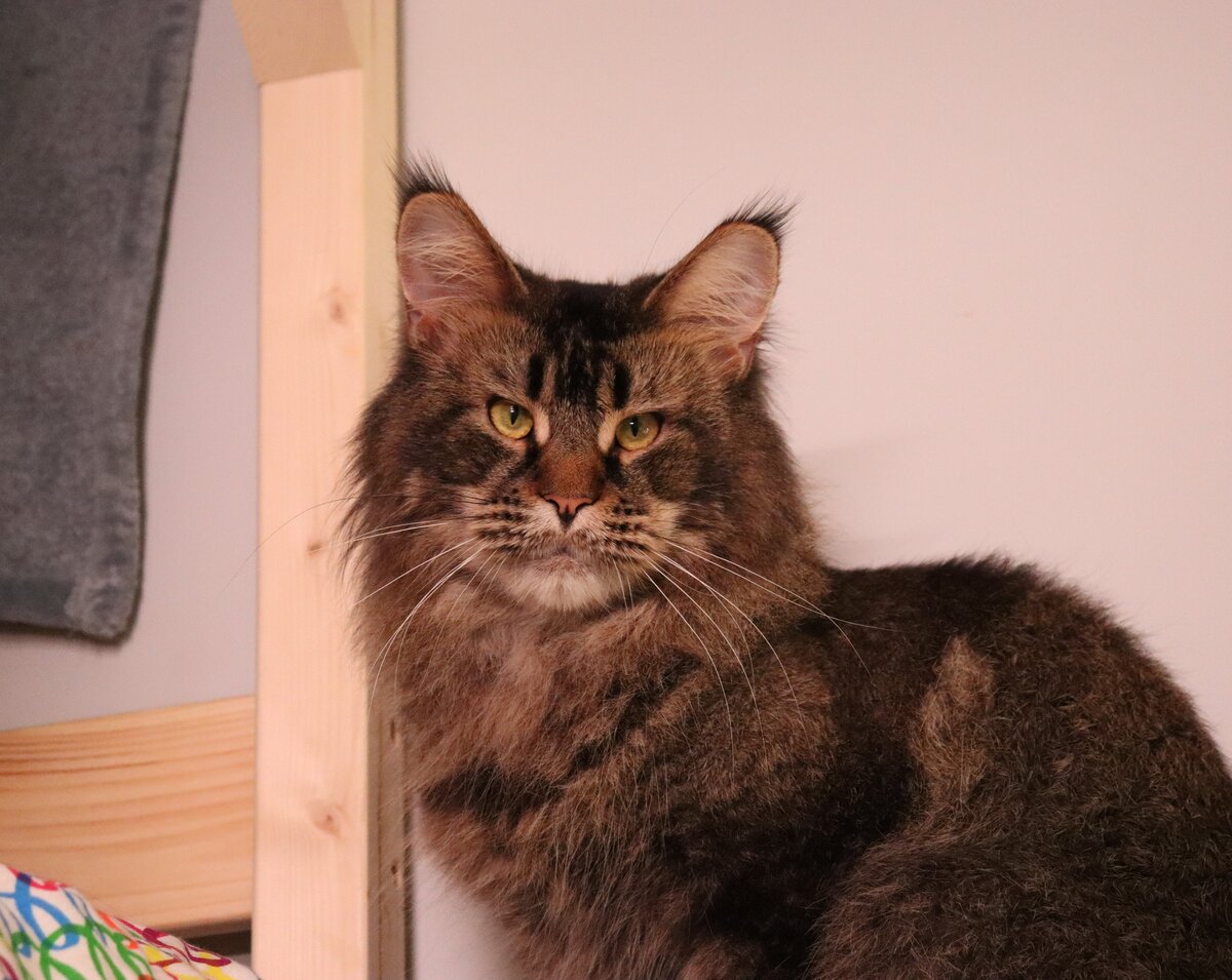 Фото из личного архива.