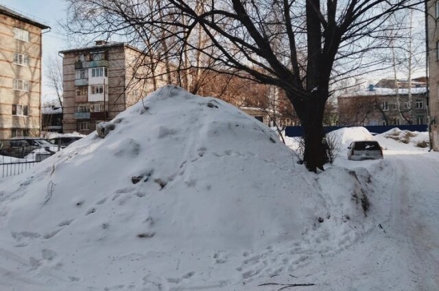    Фото: МК в Томске/ Елена Белоусова