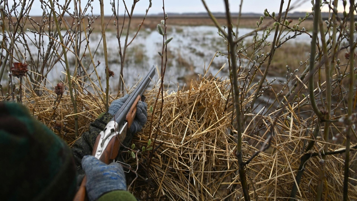 Охота началась. Охота на водоплавающую дичь 2020. Весенняя охота с подсадной уткой в Омской области. Весенняя охота. Браконьерство и незаконная охота.