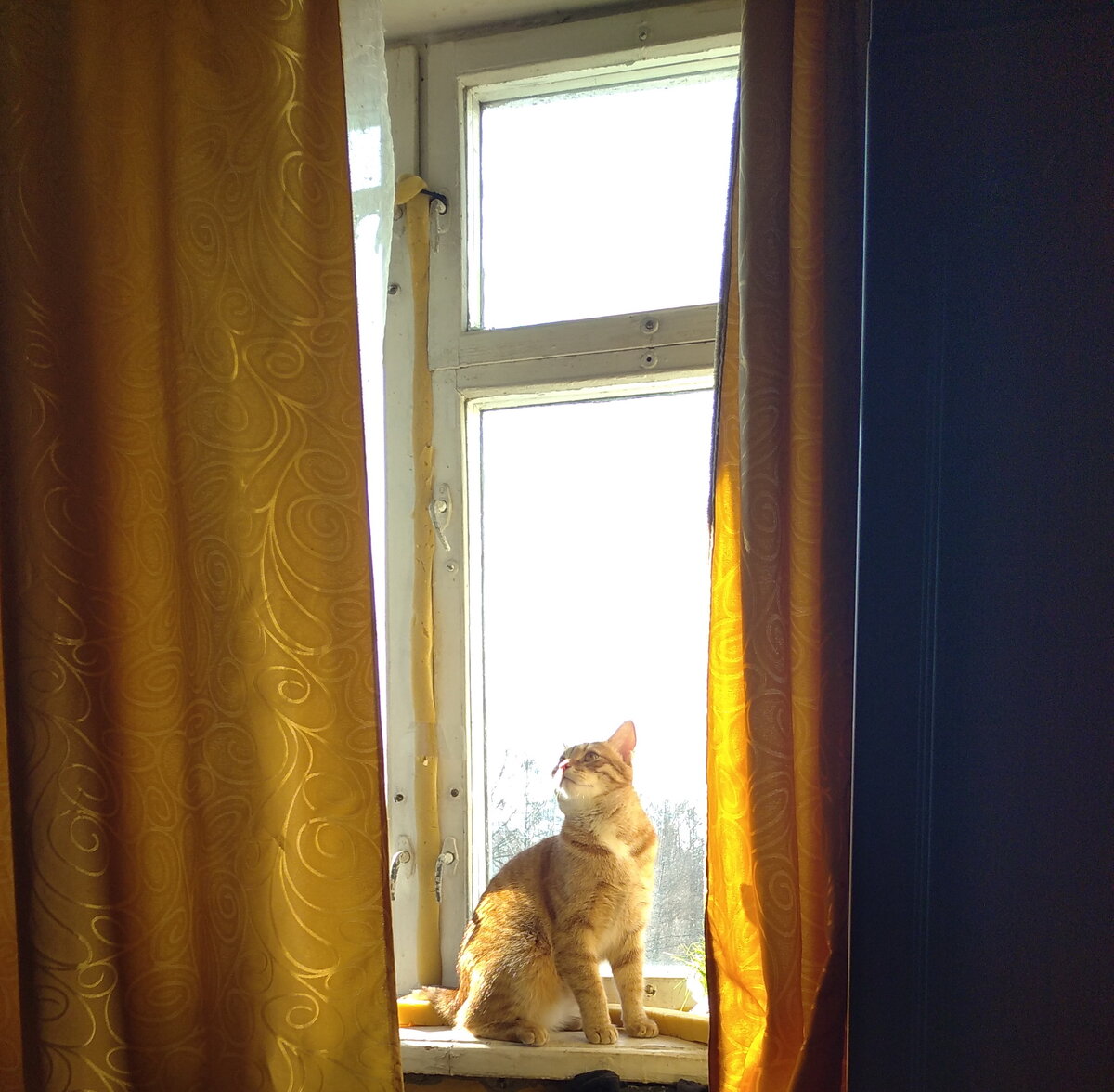 Личное  фото.  