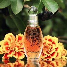 Источник  - сайт ЛАДАНИКА