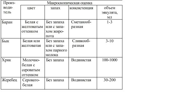 Сперма. Образование, ход.