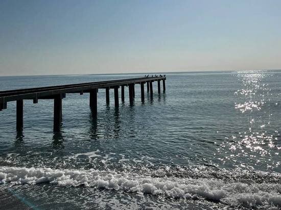     фото: МК в Туле