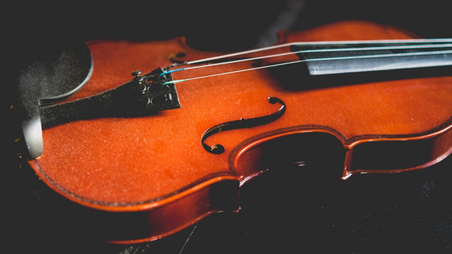    Автор фото: pxhere.com