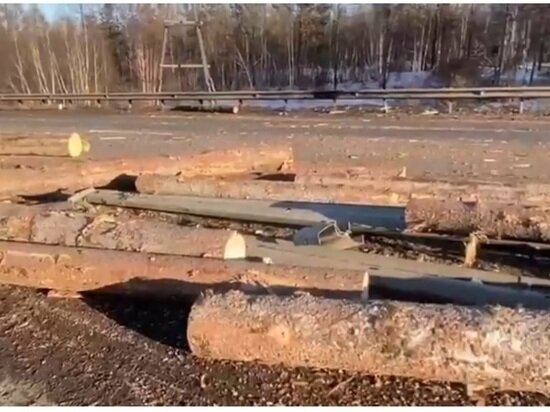     Фото ГУ МВД России по Иркутской области.