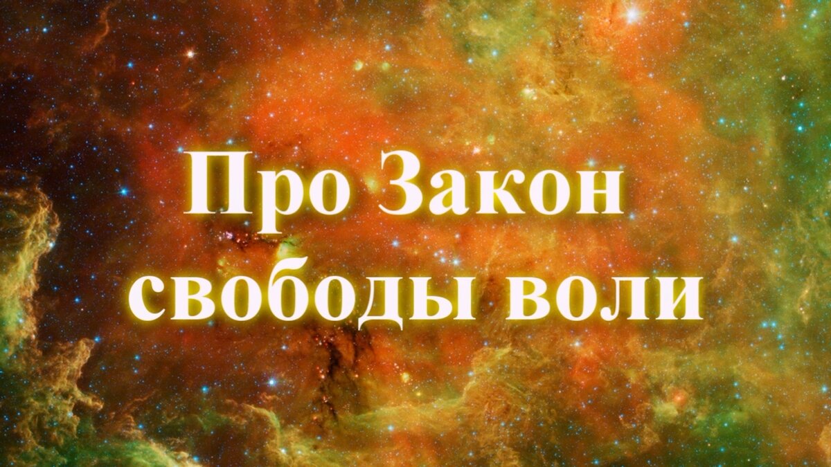 Закон свободы и выбора