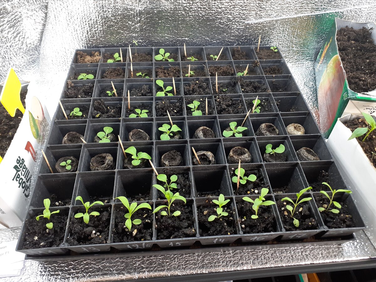    В новой таре всегда лучше!