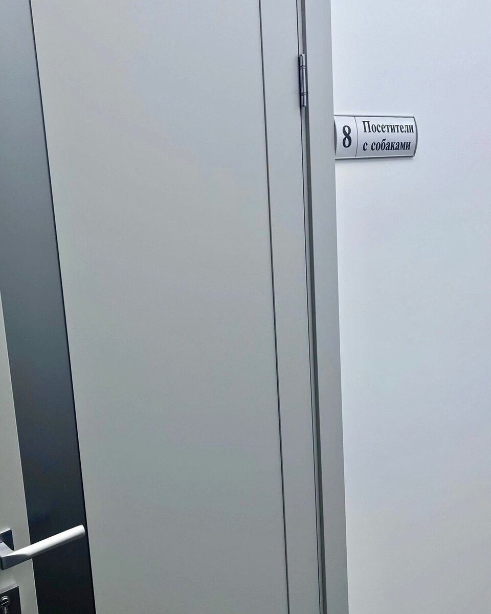 Здесь было УЗИ...