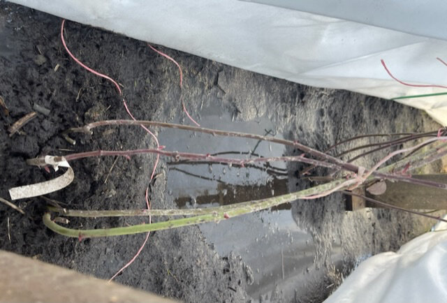 К МОМЕНТУ ОТКРЫТИЯ ЛУЖИ УЖЕ  НЕ БЫЛО