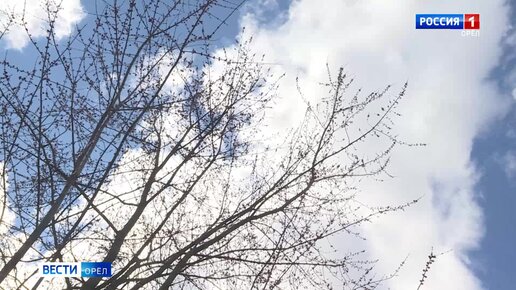 Синоптик орловское. Синоптик орловское. Снег с дождем ожидается. Орловская область. Синоптик орловское.