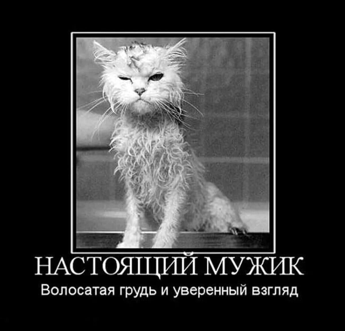  Фото из картинок yandex.ru