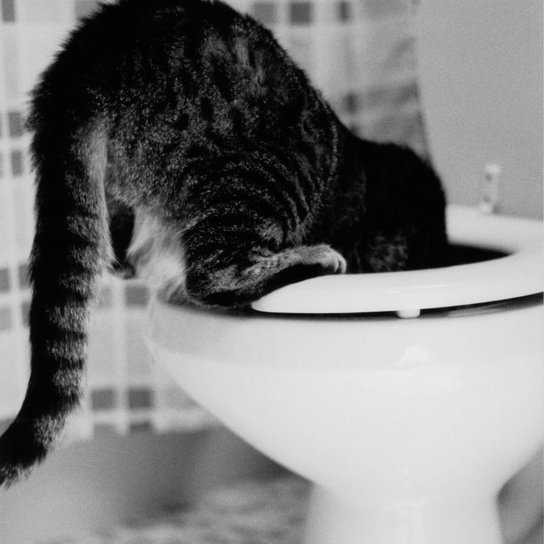 Источник фото: Canva 