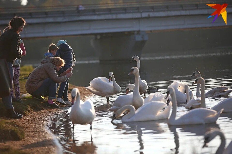     В последний день марта отмечают Кириллов день. Виктор ГИЛИЦКИЙ