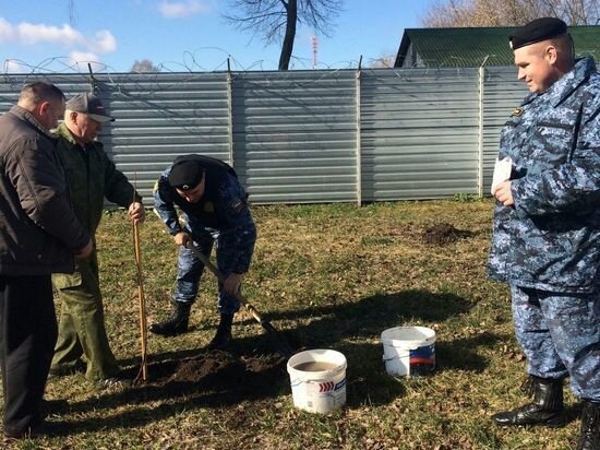     Фото: ОПССС Курской области