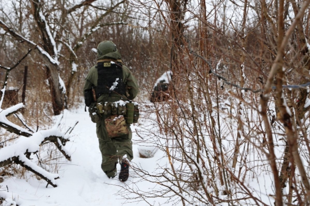    ВС России разгромили штурмовой отряд ВСУ под Купянском