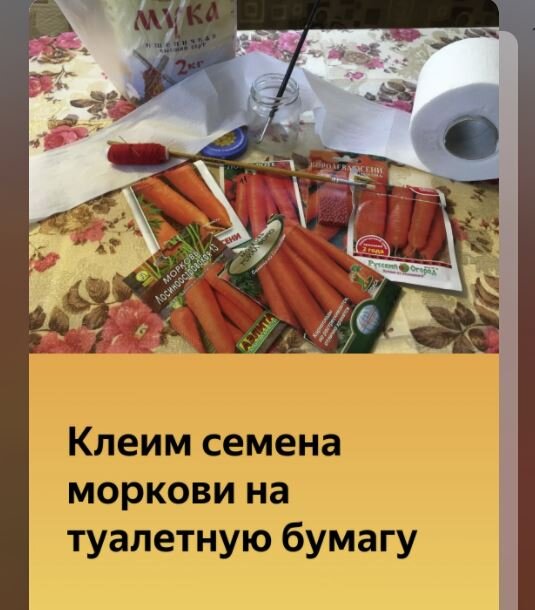 Как приклеить морковь на туалетную бумагу. Морковь на ленте из туалетной бумаги. Посев моркови на туалетную бумагу. Как наклеить семена моркови на ленту. На какой клей клеить семена моркови на туалетную бумагу