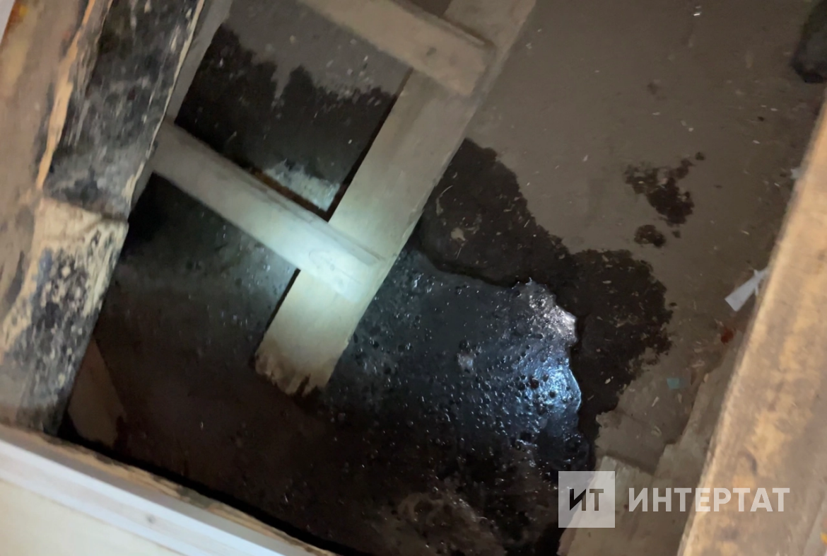 ​Фото: © Энже Габдуллина / «Татар-информ»