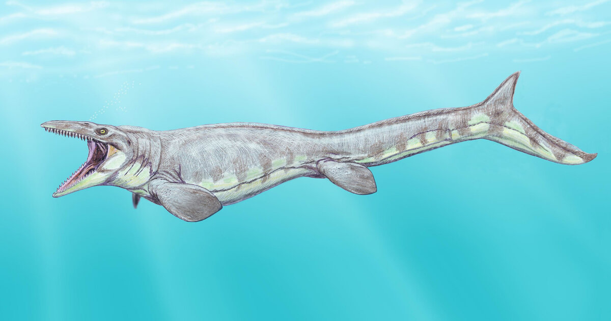 Когда узнал, что отличник в твоём классе завалил контрольную по математике.