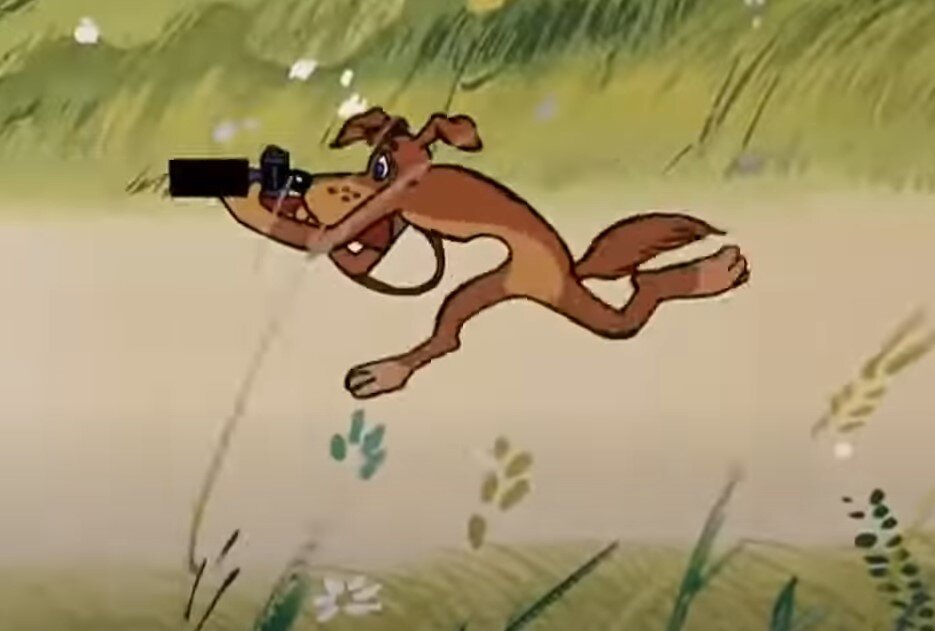 Картинка из интернета 