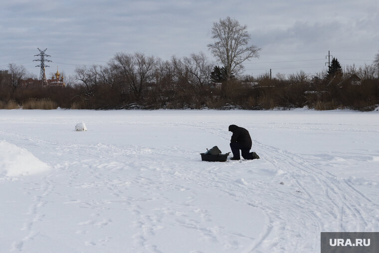    Рыбаки рассказали о приманке в соцсетях