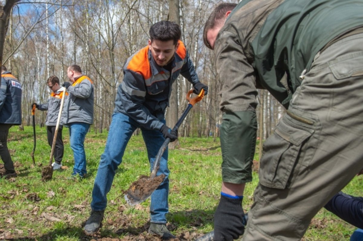 Одни сорят, другие убирают. Куда татарстанцам пожаловаться на мусор | АиФ –  Казань | Дзен