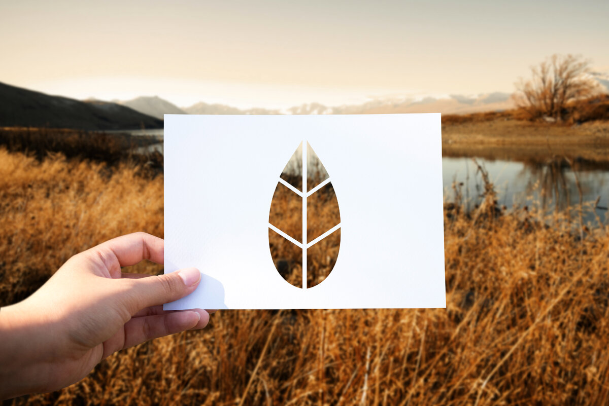 <a href="https://ru.freepik.com/free-photo/save-the-world-ecology-environmental-conservation-perforated-paper-leaf_2761124.htm#query=%D0%B6%D0%B8%D0%B7%D0%BD%D1%8C%20%D1%81%20%D1%87%D0%B8%D1%81%D1%82%D0%BE%D0%B3%D0%BE%20%D0%BB%D0%B8%D1%81%D1%82%D0%B0&position=2&from_view=search&track=ais">Изображение от rawpixel.com</a> на Freepik