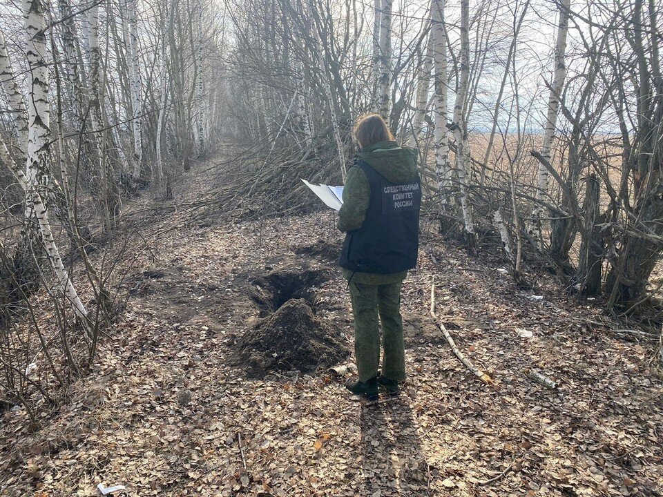     Отчим завернул тело мальчика в плед и закопал в лесу. Фото: СК по Тульской области