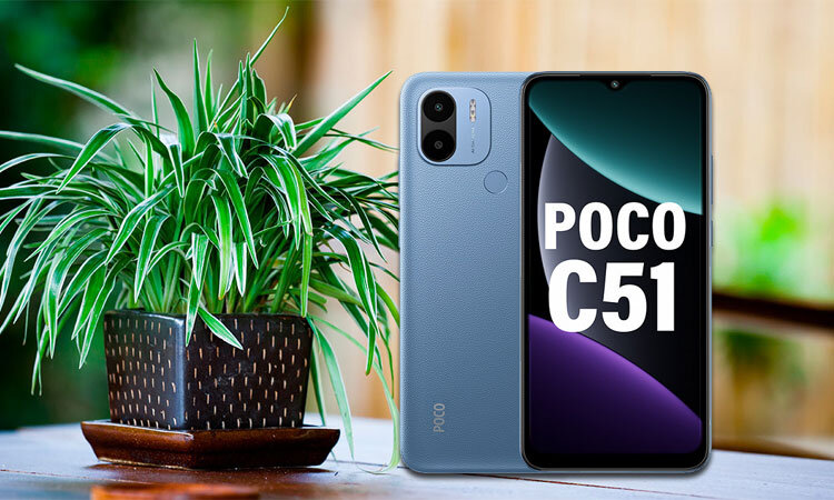 Изображение: xpanat.ru