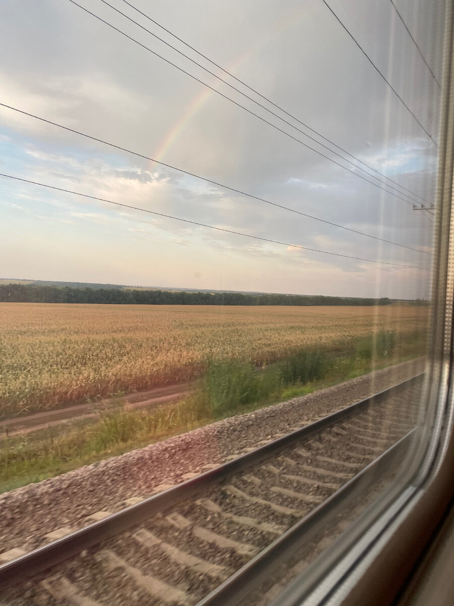 Под стук колес и мимо пшеничных полей
