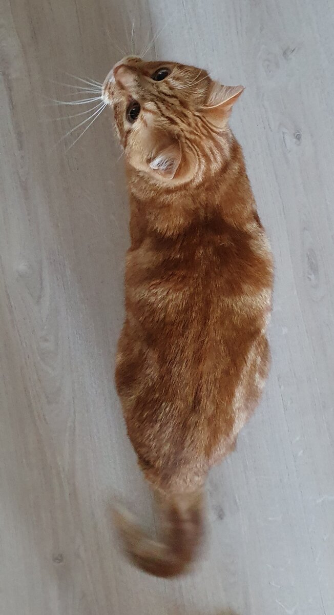 Замурчательного дня!