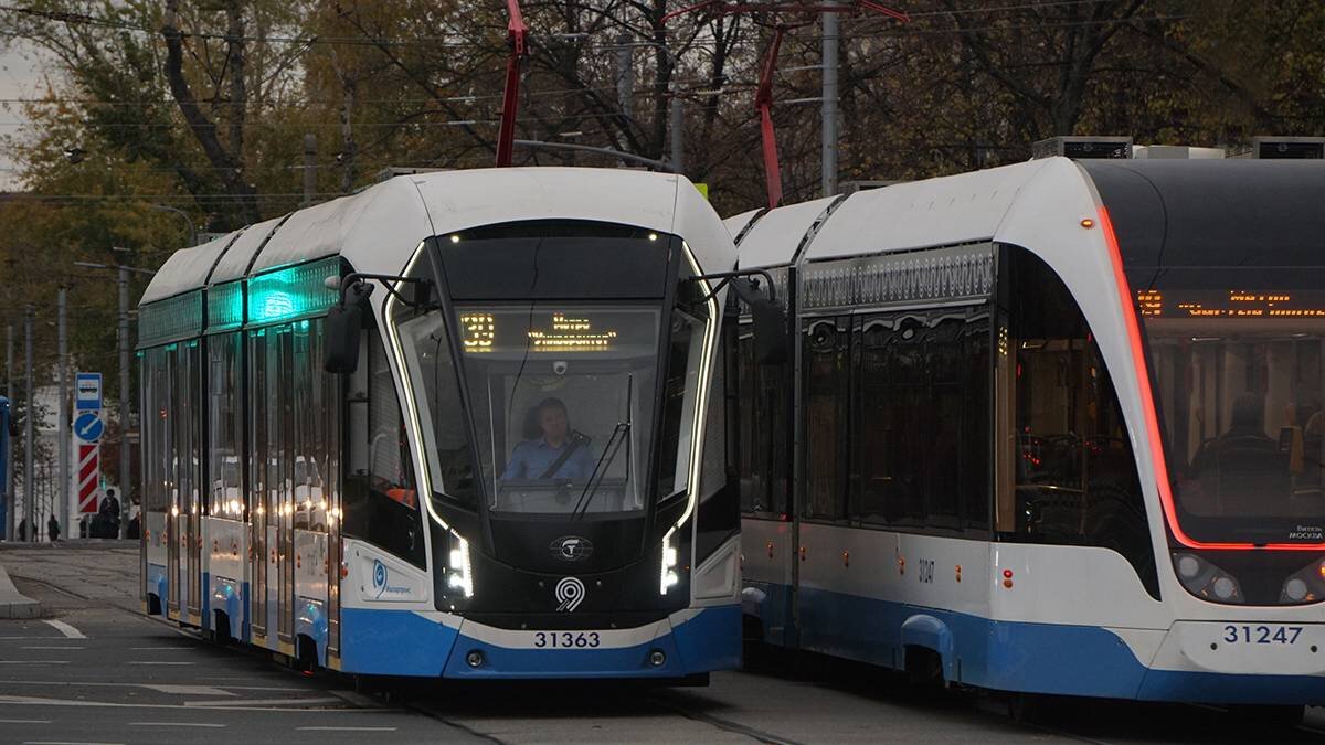    Фото: Анатолий Цымбалюк / Вечерняя Москва