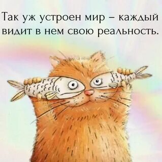 Изображение с сайта с открытым доступом. 