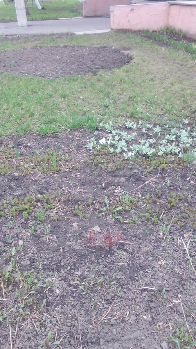 Фото сила - в знаниях