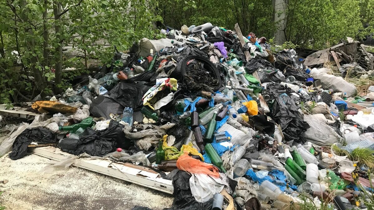     Областные чиновники недостаточно энергично борются с любителями сваливать мусор в неположенных местах.